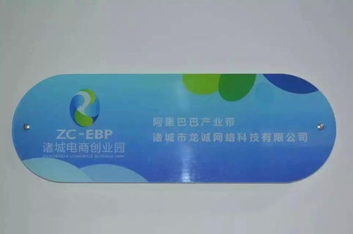 諸城市龍誠(chéng)網(wǎng)絡(luò)科技 賦能地方企業(yè)，驅(qū)動(dòng)數(shù)字化轉(zhuǎn)型